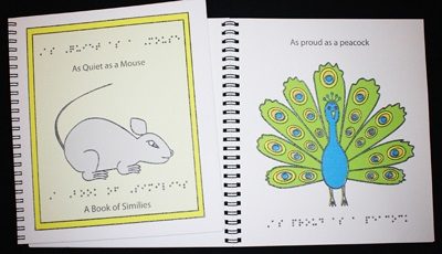 Braille Children's Book Quiet As A Mouse