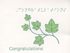 Braille and Tactile Greeting Card Box of Small Blank Congratulations – Ivy