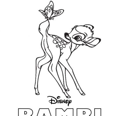 Book cover: BAMBI: from The Big Braille Book Series, the word Disney is under his hooves, Tactile Vision Graphics is printed at the bottom of the page